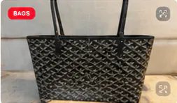 Goyard Saint Louis PM QC photo